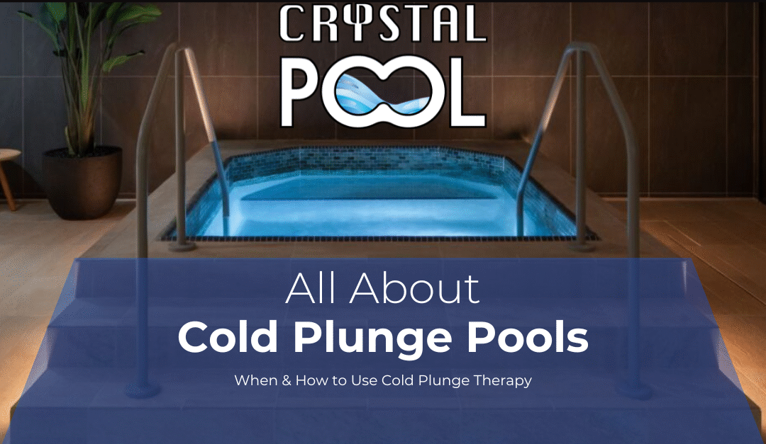 Cold plunge pool for wellness and muscle recovery